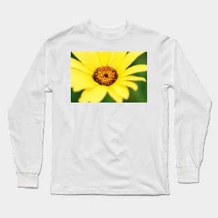 Yellow flower close-up against blurry green background Long Sleeve T-Shirt